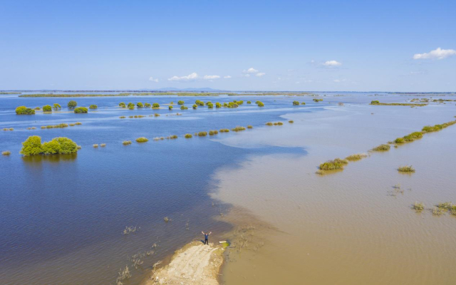 Honeyview_image003.jpg Honeyview_image003.jpg