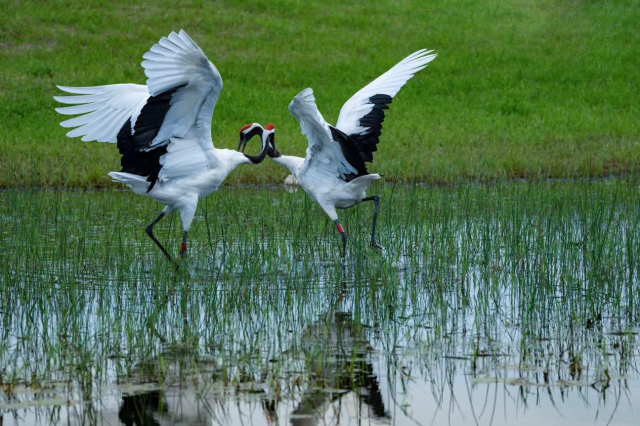 Honeyview_image005.jpg Honeyview_image005.jpg