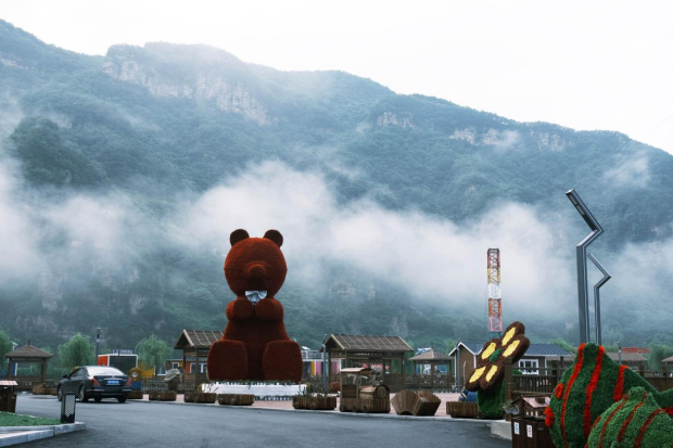 image003 (2).jpg image003 (2).jpg