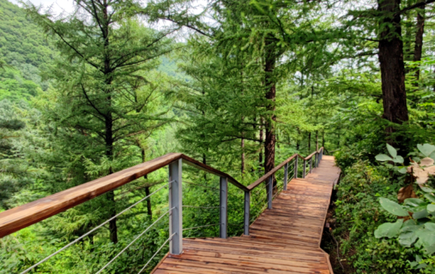 image007.jpg image007.jpg